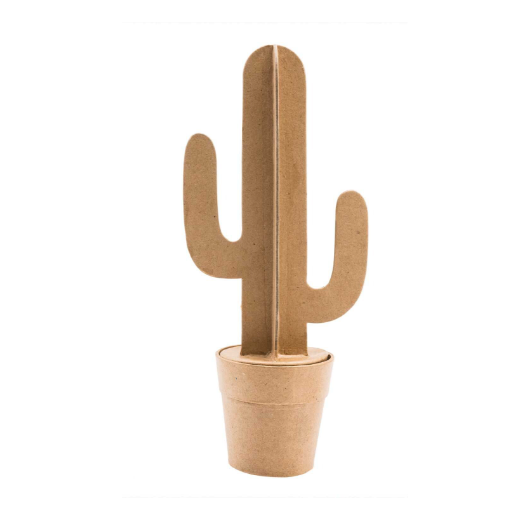 Cactus du désert boîte, petite